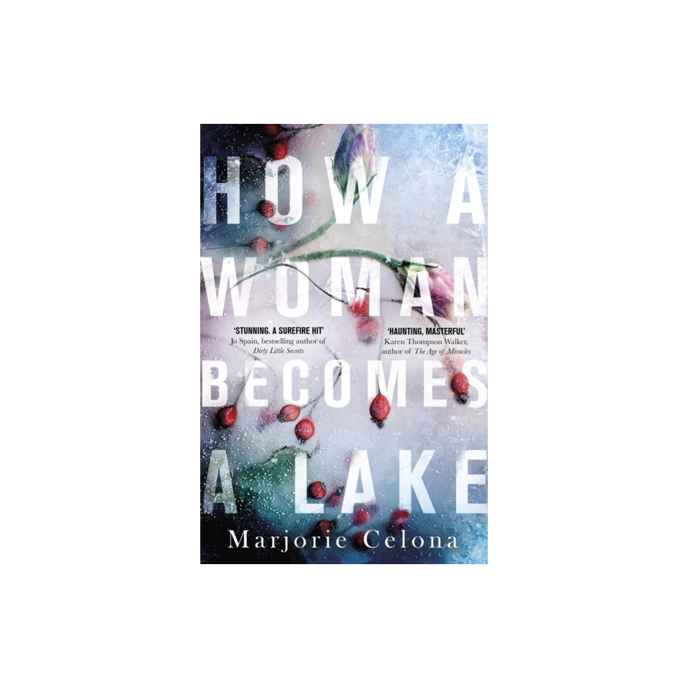 Little, Brown Book Group How a Woman Becomes a Lake (inbunden, eng)