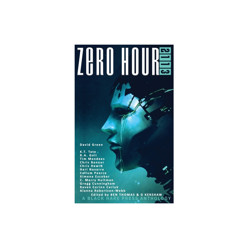 Blackharepress Zero Hour 2113 (häftad, eng)