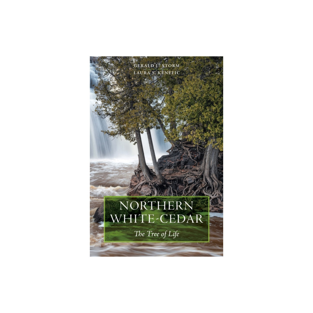 Michigan State University Press Northern White-Cedar (häftad, eng)