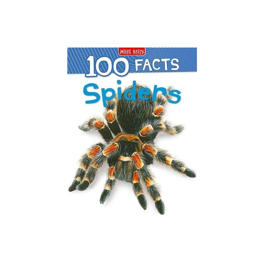 Miles Kelly Publishing Ltd 100 Facts Spiders (häftad, eng)