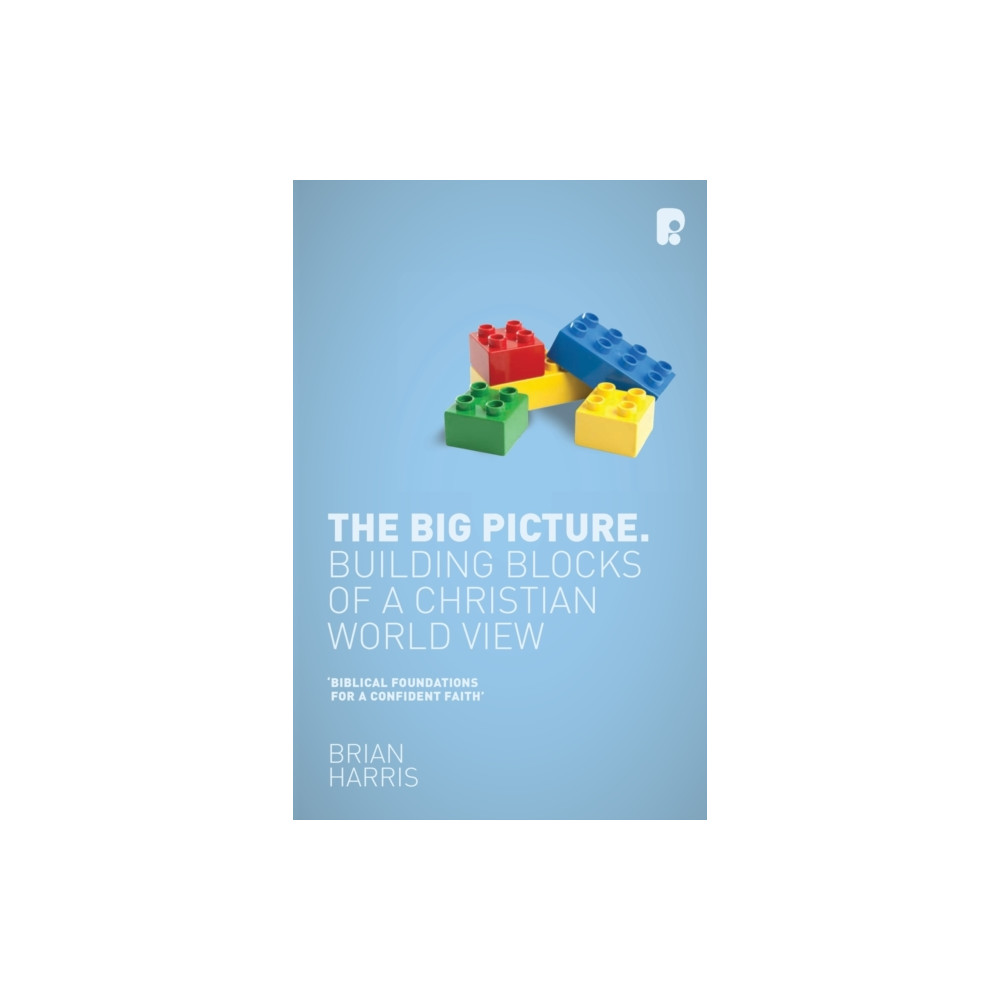 Send the light The Big Picture: Building Blocks of a Christian World View (häftad, eng)