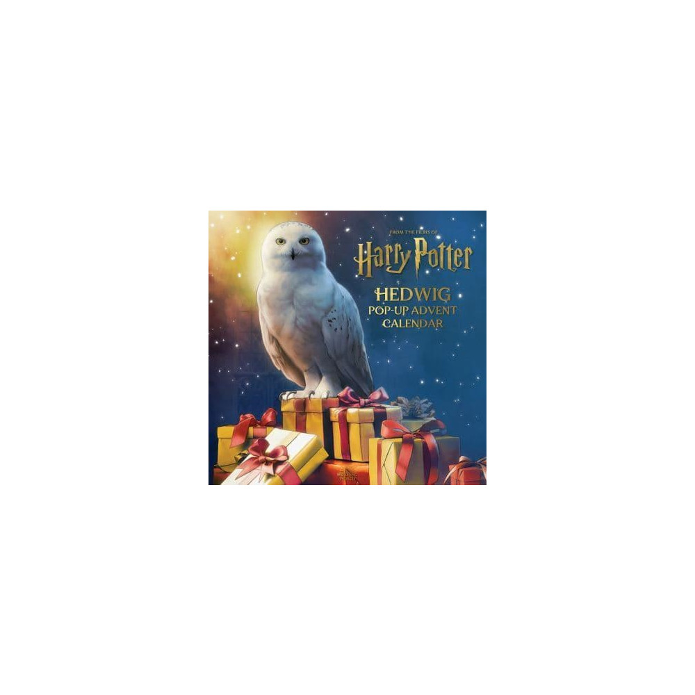 Matthew Reinhart Harry Potter: Hedwig Pop-up Advent Calendar (bok, eng)