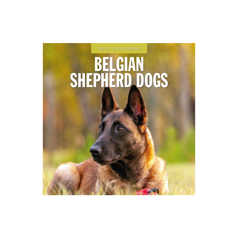 Red Robin Publishing Ltd. Belgian Shepherd Dogs 2025 Square Wall Calendar (häftad, eng)