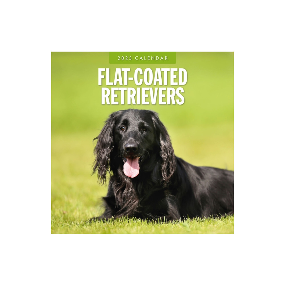 Red Robin Publishing Ltd. Flat Coated Retrievers 2025 Square Wall Calendar (häftad, eng)