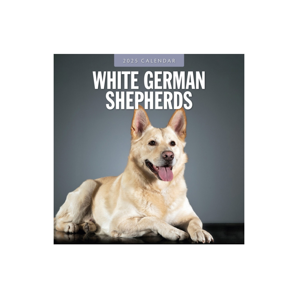 Red Robin Publishing Ltd. German Shepherd, White 2025 Square Wall Calendar (häftad, eng)