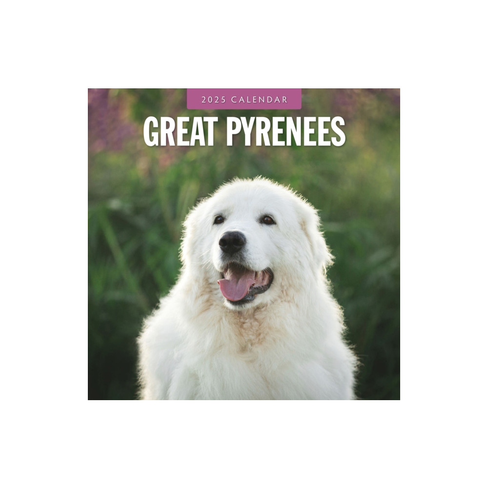 Red Robin Publishing Ltd. Great Pyrenees 2025 Square Wall Calendar (häftad, eng)