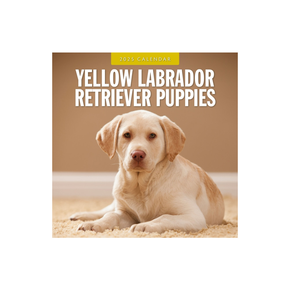 Red Robin Publishing Ltd. Yellow Labrador Retriever Puppies 2025 Square Wall Calendar (häftad, eng)