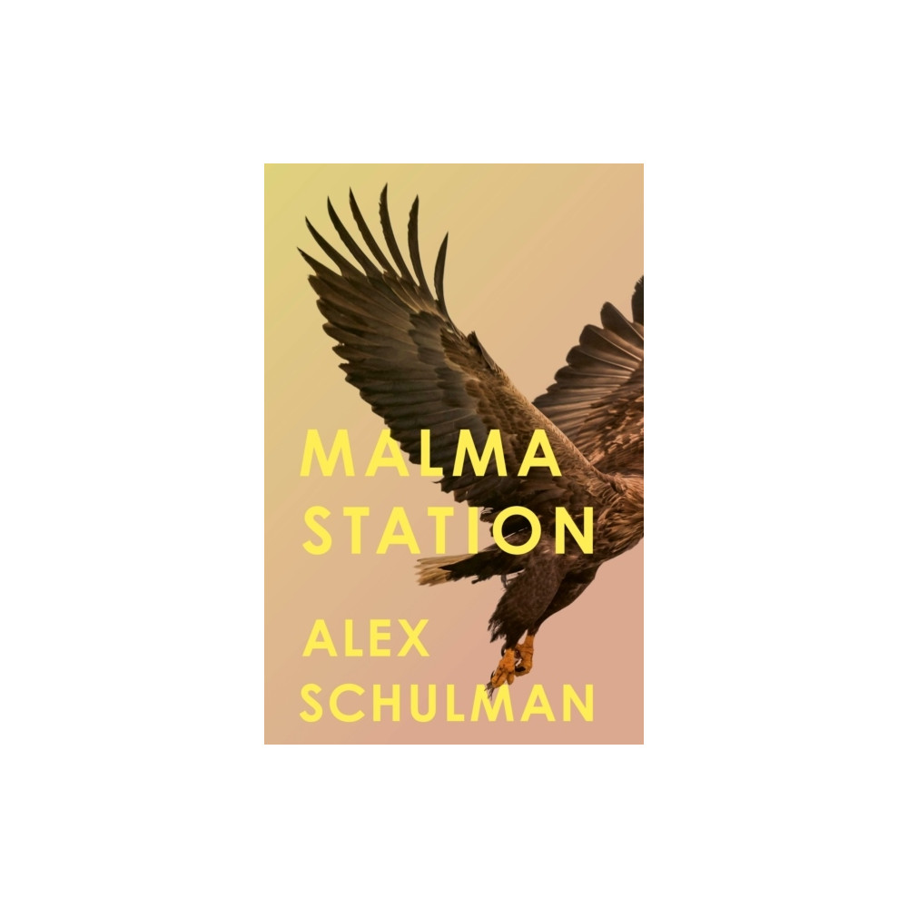 Alex Schulman Malma Station (pocket, eng)