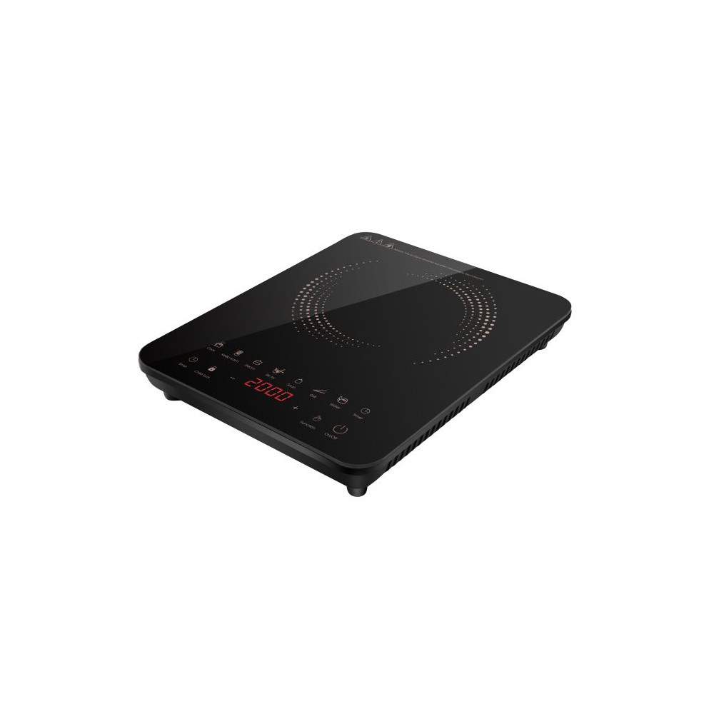 Induktionsplatta IP-130373